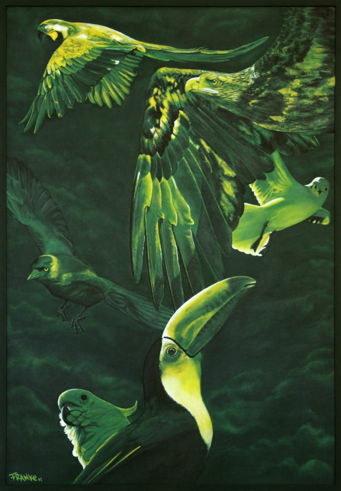 Re:Bird